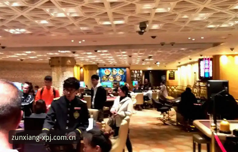 新莆京平台下载 新莆京平台下载与至尊娱乐体验详解
